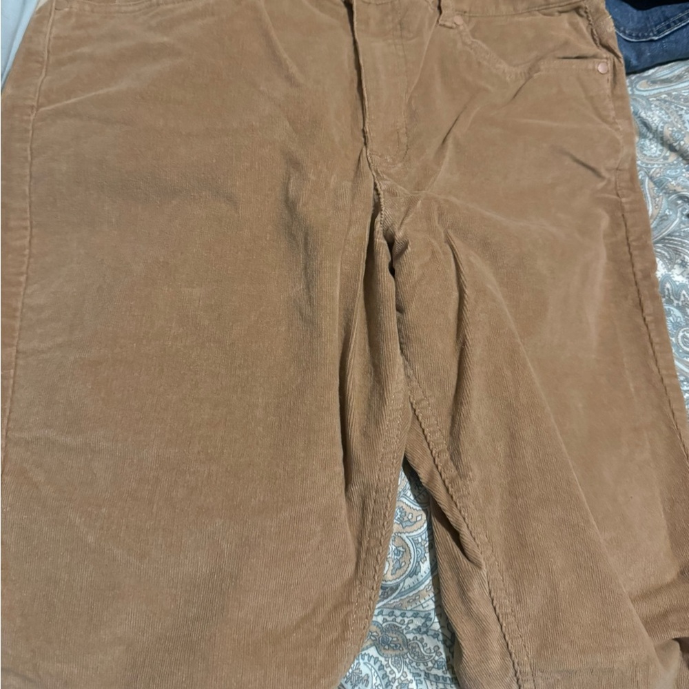 Dip Tan Corduroy Pants - Picture 4 of 4